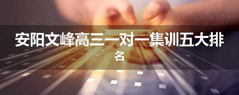 安阳文峰高三一对一集训五大排名