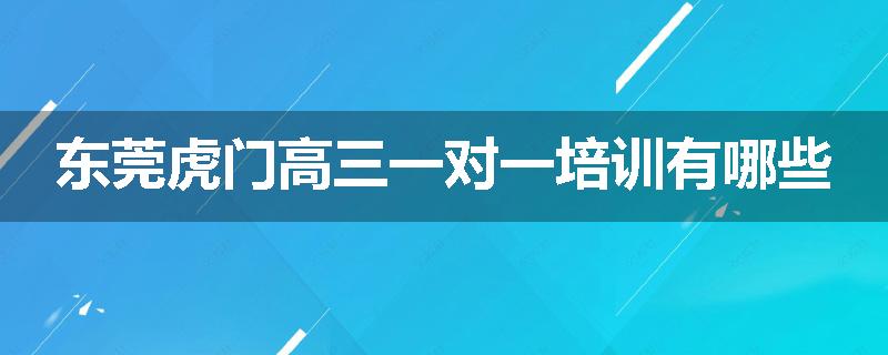 东莞虎门高三一对一培训有哪些