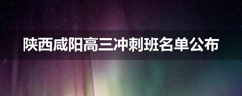 陕西咸阳高三冲刺班名单公布