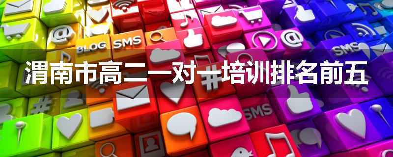 渭南市高二一对一培训排名前五