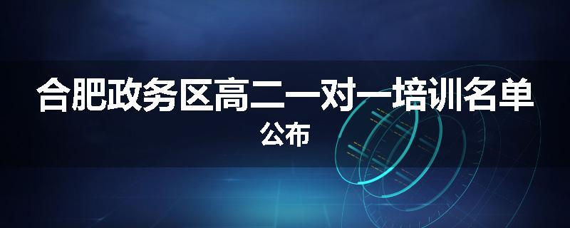 合肥政务区高二一对一培训名单公布