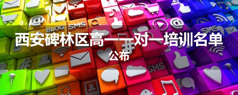 西安碑林区高一一对一培训名单公布