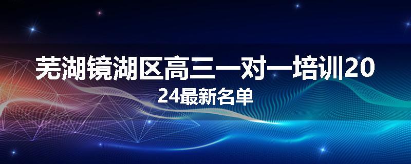 芜湖镜湖区高三一对一培训2024最新名单