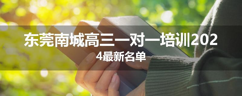 东莞南城高三一对一培训2024最新名单