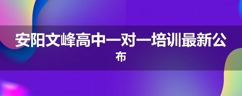 安阳文峰高中一对一培训最新公布