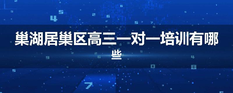 巢湖居巢区高三一对一培训有哪些