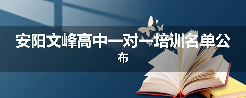 安阳文峰高中一对一培训名单公布