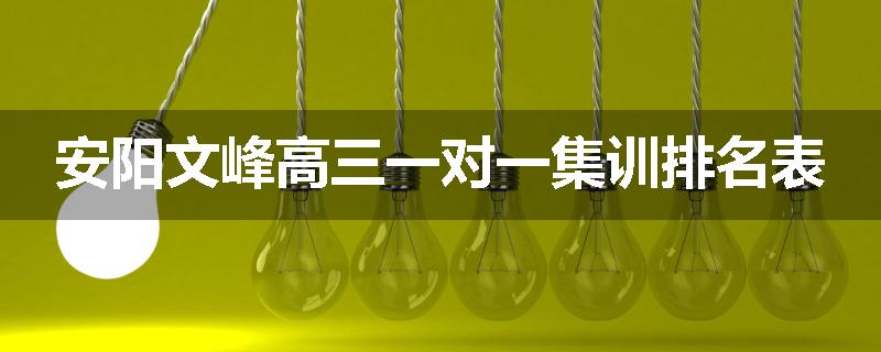 安阳文峰高三一对一集训排名表
