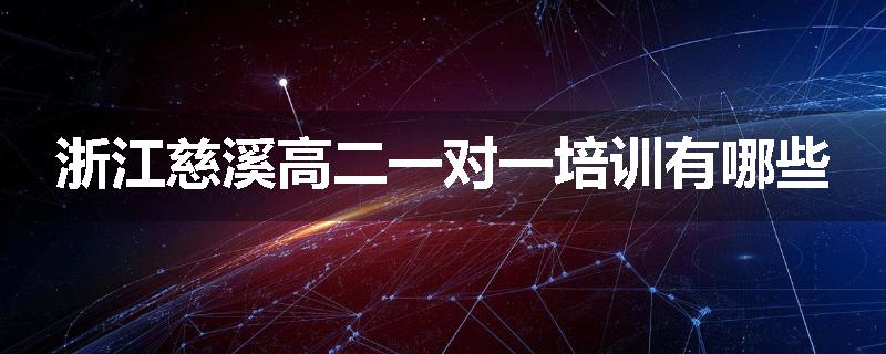 浙江慈溪高二一对一培训有哪些