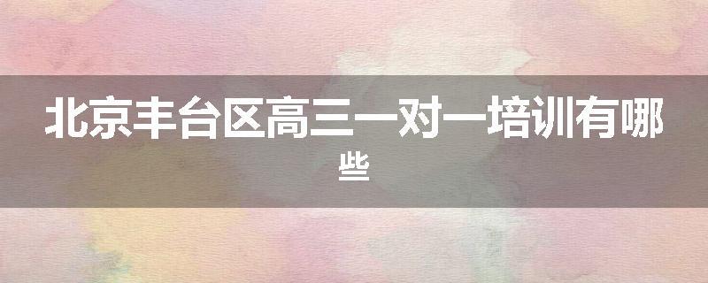 北京丰台区高三一对一培训有哪些