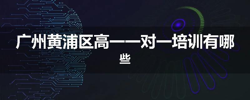 广州黄浦区高一一对一培训有哪些