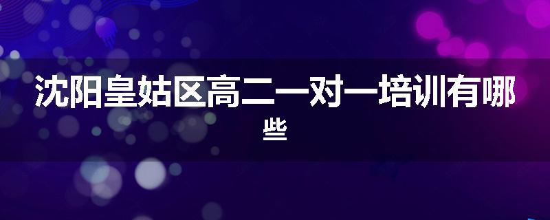 沈阳皇姑区高二一对一培训有哪些