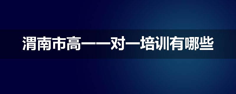 渭南市高一一对一培训有哪些