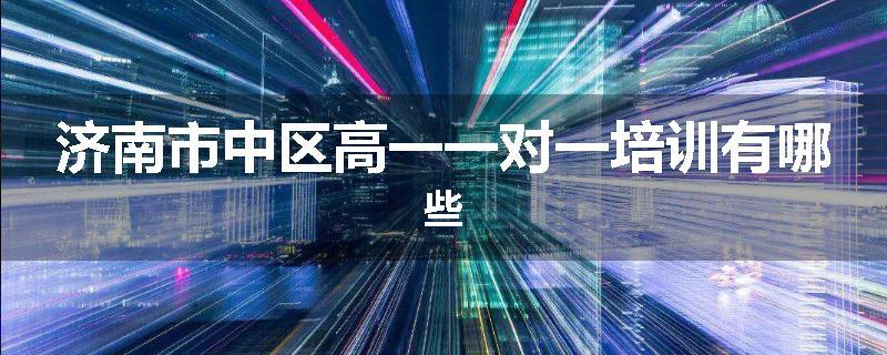 济南市中区高一一对一培训有哪些