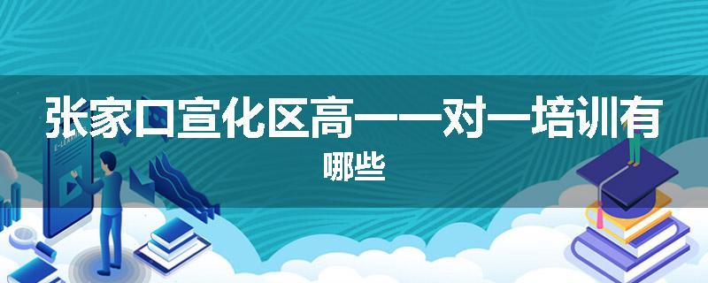 张家口宣化区高一一对一培训有哪些