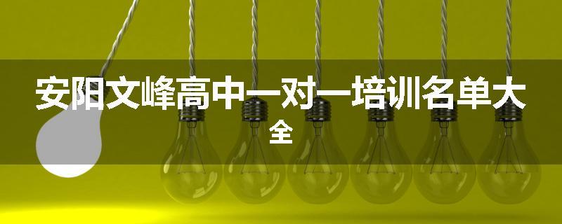 安阳文峰高中一对一培训名单大全