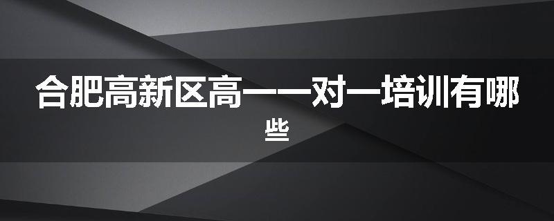 合肥高新区高一一对一培训有哪些
