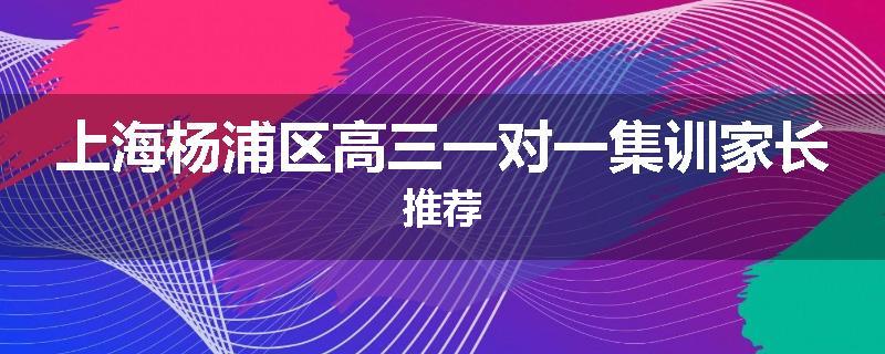 上海杨浦区高三一对一集训家长推荐