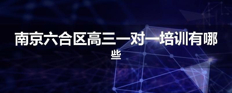 南京六合区高三一对一培训有哪些