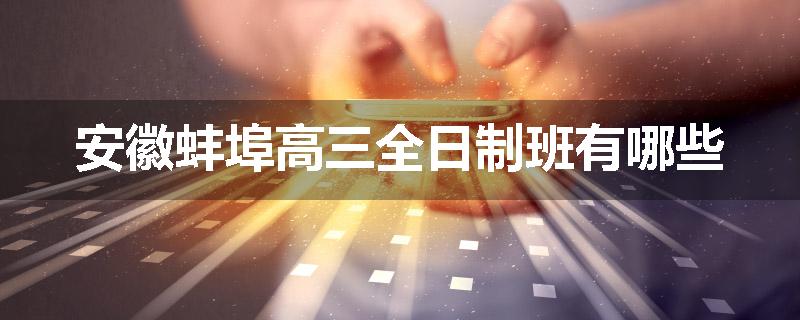 安徽蚌埠高三全日制班有哪些