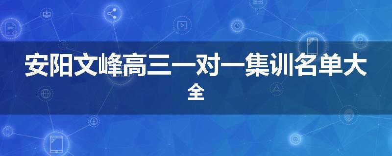 安阳文峰高三一对一集训名单大全