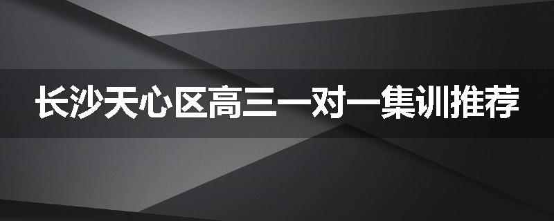 长沙天心区高三一对一集训推荐