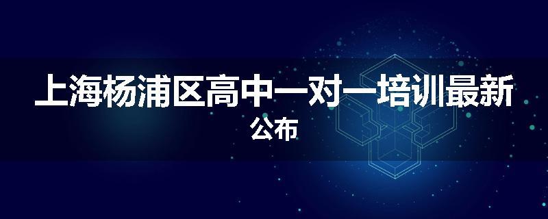 上海杨浦区高中一对一培训最新公布