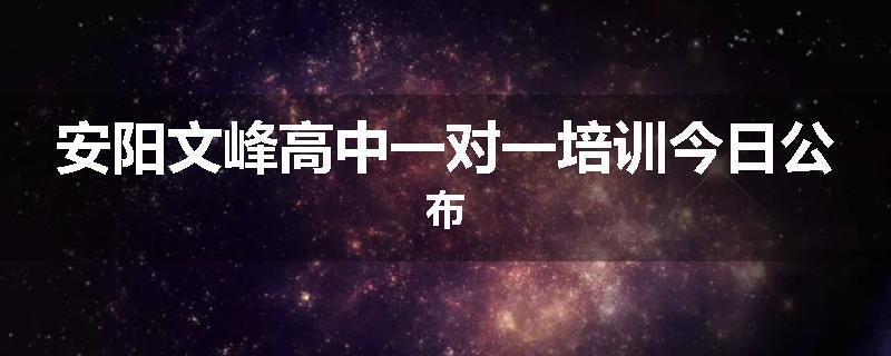 安阳文峰高中一对一培训今日公布