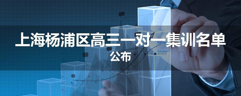 上海杨浦区高三一对一集训名单公布