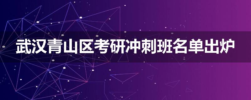 武汉青山区考研冲刺班名单出炉