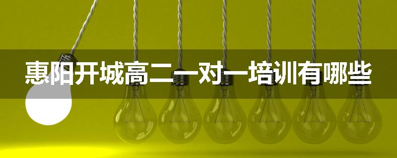 惠阳开城高二一对一培训有哪些