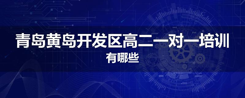 青岛黄岛开发区高二一对一培训有哪些