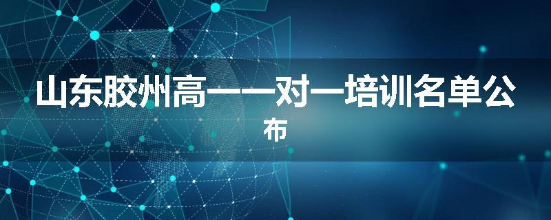 山东胶州高一一对一培训名单公布