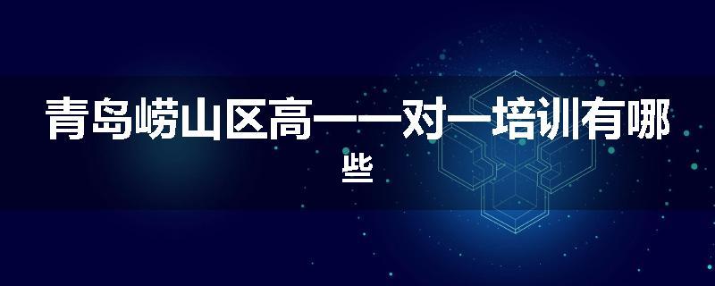 青岛崂山区高一一对一培训有哪些