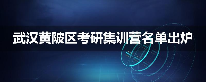 武汉黄陂区考研集训营名单出炉
