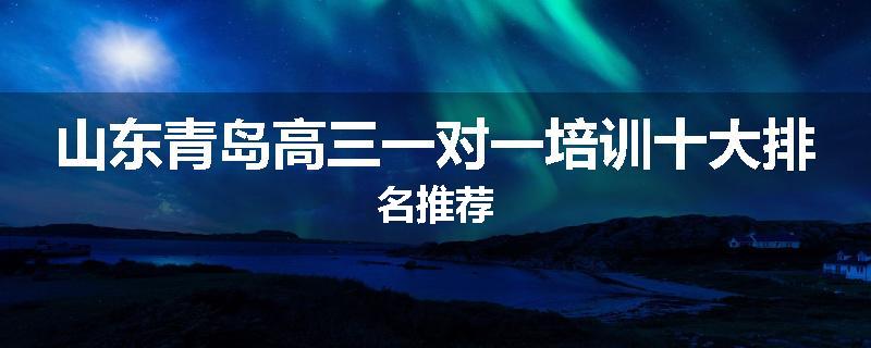 山东青岛高三一对一培训十大排名推荐