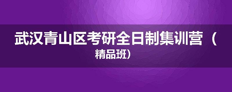 武汉青山区考研全日制集训营（精品班）