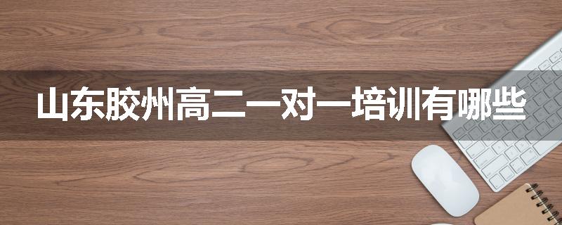 山东胶州高二一对一培训有哪些