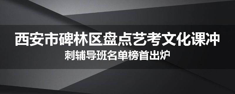 西安市碑林区盘点艺考文化课冲刺辅导班名单榜首出炉