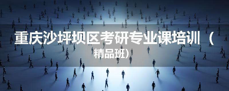 重庆沙坪坝区考研专业课培训（精品班）