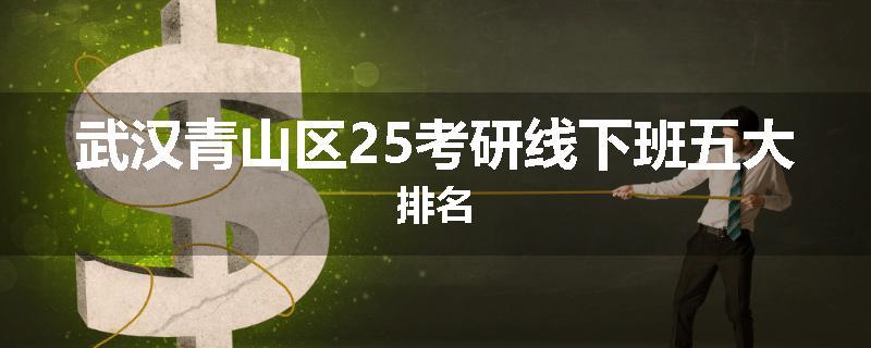 武汉青山区25考研线下班五大排名