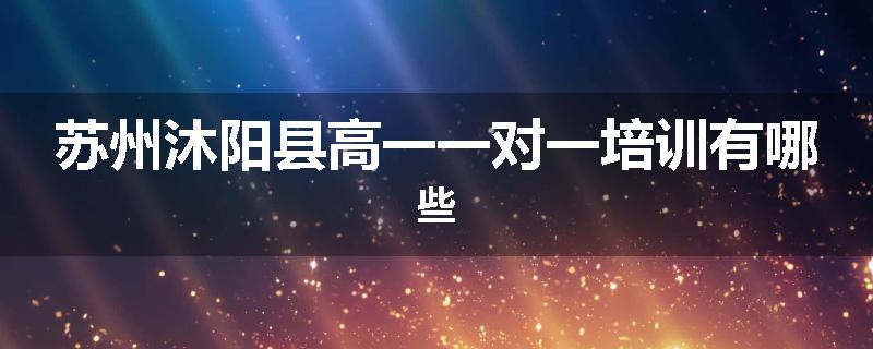 苏州沐阳县高一一对一培训有哪些