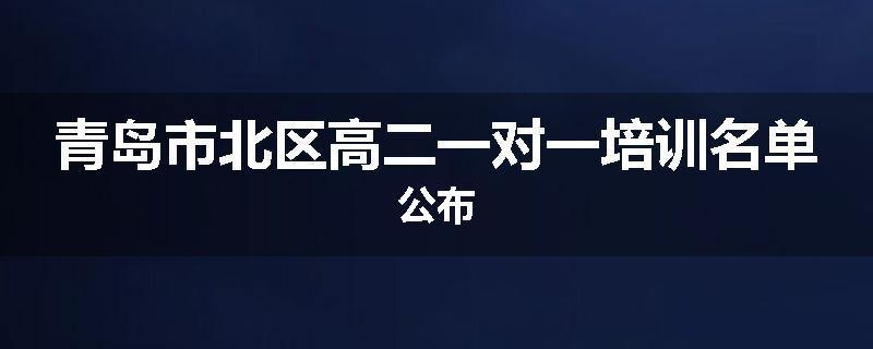 青岛市北区高二一对一培训名单公布