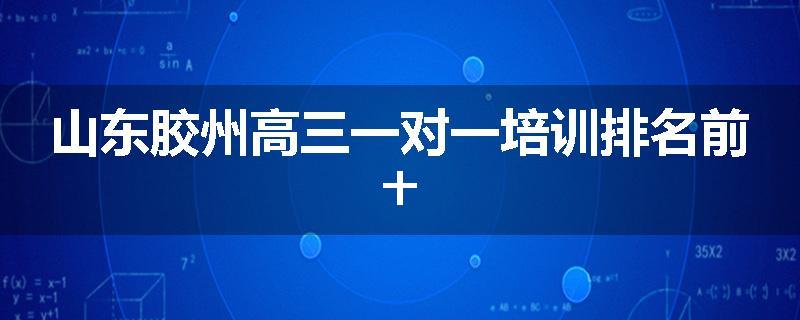 山东胶州高三一对一培训排名前十