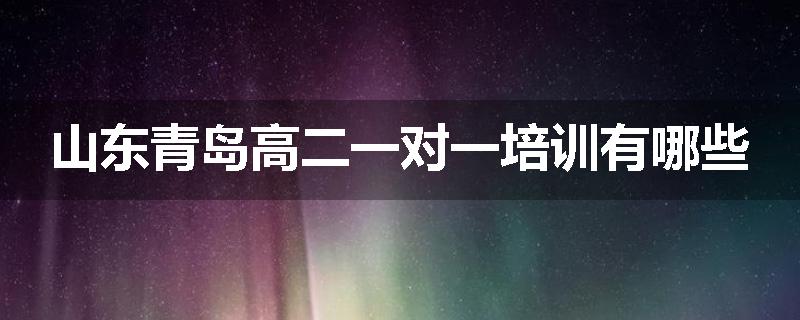 山东青岛高二一对一培训有哪些