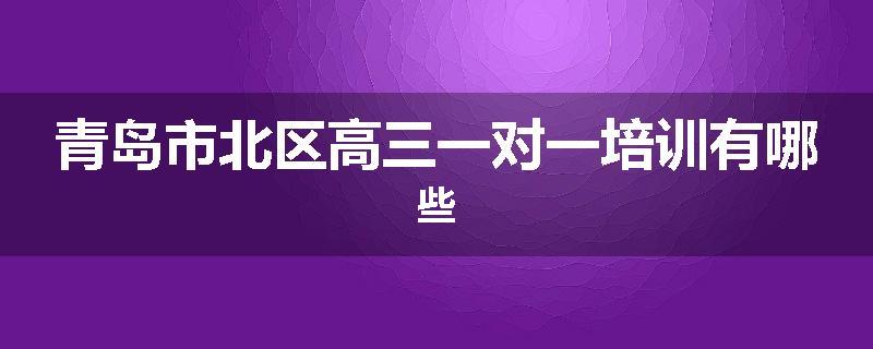 青岛市北区高三一对一培训有哪些