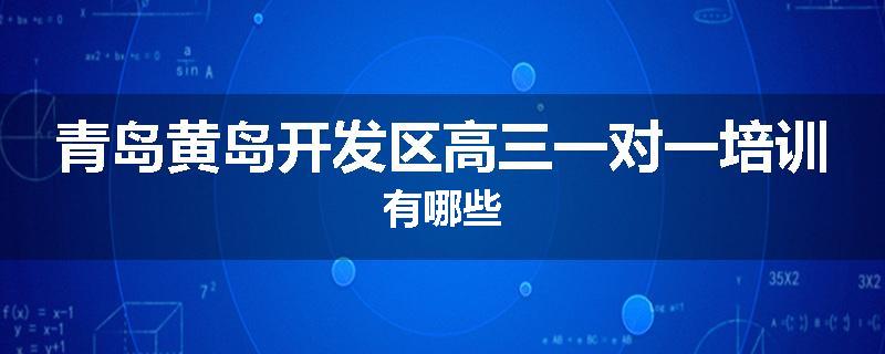 青岛黄岛开发区高三一对一培训有哪些