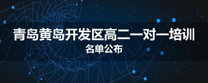 青岛黄岛开发区高二一对一培训名单公布