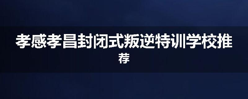 孝感孝昌封闭式叛逆特训学校推荐