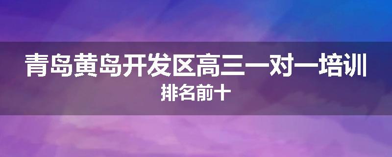 青岛黄岛开发区高三一对一培训排名前十